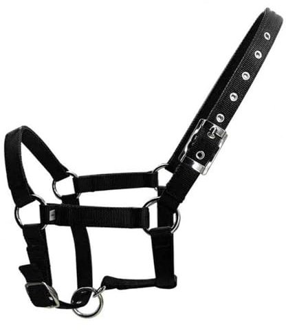 DSFIHJO Grimma för hästar svart XS/S/M/L/XL justerbar nylonrem ridsportkläder, ergonomiska, bekväma hölster (M)