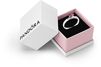 PANDORA Moments Women's Sterling Silver You and Me Cubic Zirconia Ring, Size 58, With Gift Box