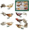 Dekohelden24 Lauschaer Christbaumschmuck - 6er Set Multicolor Waldvögel auf Clip, ca. 11 cm.