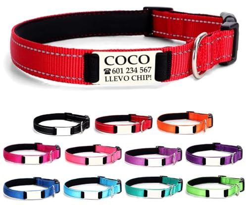 Ibera gifts - Collar Perro Personalizado con Nombre para Mascotas Medianas, Reflectante, Ajustable De 35 a 50 cm, Grabado Láser, Seguro y Cómodo (Rojo, M Mediano)