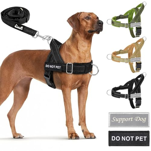 Eyein No Pull Harness for Dogs - Heavy Duty Soft Padded Pet Vest and Lead Set for Medium Large Dog, Adjustable Reflective Anti-pull with Front Clip for Walking Training(Black,L)