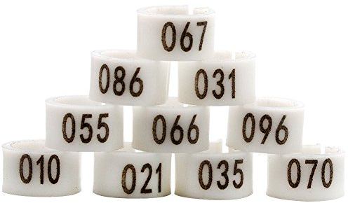 MasXirch Taubenring Vogelbeinbänder Fußring Beinring Mehrfarbig nummeriert 1-100 8mm Racing Papagei Küken Ente Clip Ringe Band (Grün)