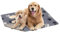 Vetbed Petlife Anti-Rutsch-Hundebett, mittelgroß, 100 cm x 75 cm, Grau/Schwarz/Weiß, Duo Paw – maschinenwaschbar, warmes Hunde- und Welpenbett – Kistenmatte für Welpe – antiallergene Katzen- und