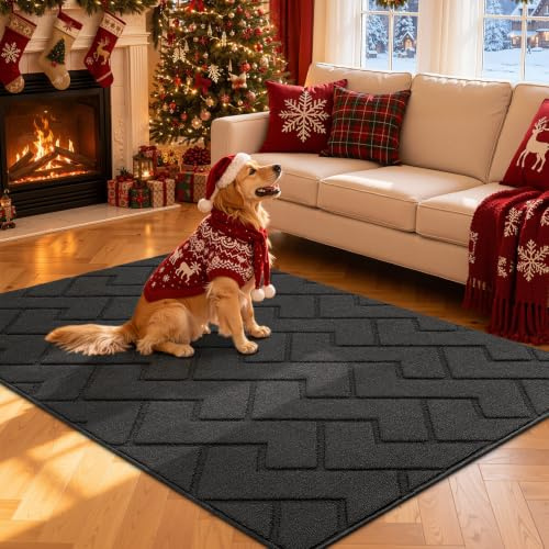 Biscpro Door Mat, 119x180cm DoorMat Indoor Washable, Doormat Indoor Dirt Trapper Non-slip,Absorbent Inside Entrance Rug Mat for Entryway,Patio,Garden,Laundry Room,Pets - Dark Gray