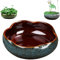 YIGEBAG Pot de Fleur de Bol de Lotus, Bol Rond de Lotus, Bol de lys d'eau Claire, Bol de Lotus cultivé dans l'eau intérieure, Plantes hydroponiques succulentes Florales sans Support (Bleu+m)