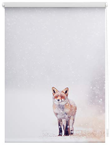 Lichtblick Klemmfix Tageslicht-Rollo mit Motiv, ohne Bohren, Blickdicht, Seitenzugrollo, Made in Germany, Fuchs im Schnee - Weiß Rot 70 x 150 cm (B x L)