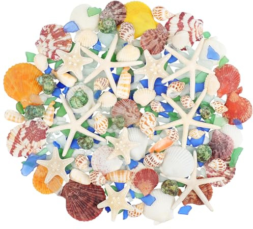 Fangoo Beach Seashells Natural Starfish Conch Mixed with 7oz Sea Glass Pieces for Crafts Beach Themed Party DIY Crafts Fishtank Vase Fillers Candle Making Home Coastal Wedding Decorations