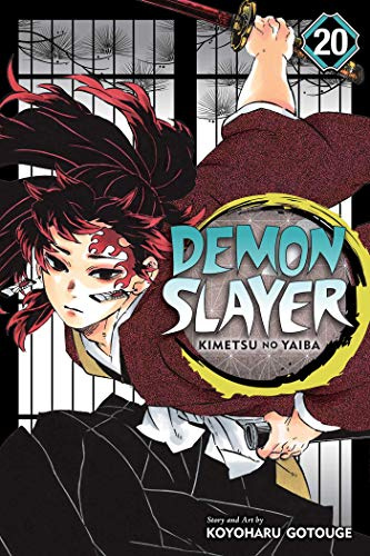 Demon Slayer: Kimetsu no Yaiba, Vol. 20: Volume 20