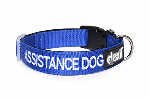 Hundhalsband med engelsk text HUND HUND med färgkodad, S-M L-XL, undviker olyckor genom att förebygga andra