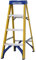 Werner Trittleiter aus Fiberglas, 4 Stufen