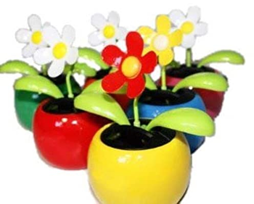 Generisch HAAC Solar Wackelblume Blume Farbe bunt (1)