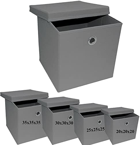 A406 2x Foldable Storage Boxes with Lid Storage Basket with Lid Fabric Cubes with Handles Collapsible Fabric Organiser Clothes Storage Box (Small- 20x20x20 cm, Grey)