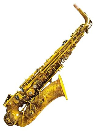 Professionell Saxofon Professionell EB Altsaxofon Mässingskropp