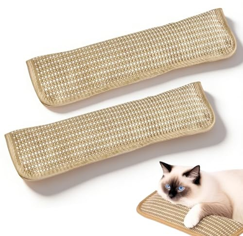 SNSYGN 2 piezas de juguete de hierba gatera, gran cojín de hierba gatera, juguete para gatos, sisal natural, cojín de menta para gatos domésticos y gatitos, juegos interactivos y entrenamiento para