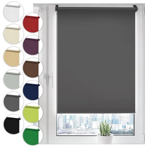 Sonello Tenda a rullo oscurante Klemmfix senza Forare 50cm x 210cm grigio, tenda avvolgibile oscurante con morsetti e con catenella per finestre e porte, Blackout, opaco, Protezione Solare