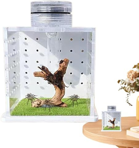 Terrario de arañas saltarinas, Tanque de Transparente | Caja de alimentación con humidificador de luz, Tanque de recinto de Reptiles para Reptiles Que Viven en árboles pequeños, Anfibios,