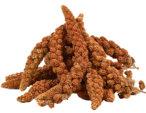 Lyra Pet® | 3 kg Kolbenhirse rot | Vogelfutter für Sittiche & Kanarienvögel | Handverlesene Hirse | Natürliche Nährstoffquelle für Vögel | Für das ganze Jahr | Hirsekolben für für Zier- und Wildvögel