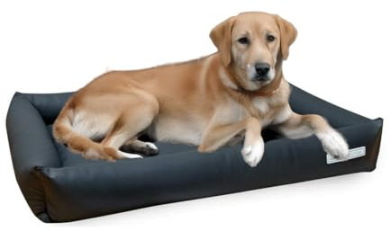 dogsfavorite, Hundebett Starter Visco aus Kunstleder, Hundekissen, orthopädisch, 110 x 80 cm, dunkelgrau