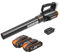 WORX 20V Akku Laubbläser WG547E.1, 2 x 2,0Ah Akku, PowerShare, 2-Fach Geschwindigkeit, Turbine Technologie, 1 Std. Schnellladegerät, 120km/h