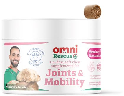 Omni Joint Supplements for Dogs - Dragons’ Den Winners, One-a-Day Dog Chew for Joints and Mobility - Hyaluronic Acid, Glucosamine and Chondroitin, Omega 3, Vitamin C, 30 Servings, Large 30+ Kg