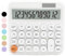 White Calculator, QpenguinBabies Standard Calculator, 12 Digit with Large LCD Display and Large Buttons, White Office Supplies and Desk Accessories, Cute Calculator for Office, School