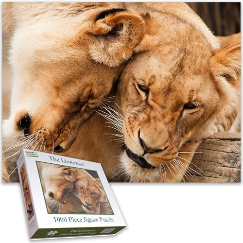 Majestic King Lions Lioness 1000 Piece Jigsaw Puzzle for Adults | Breathtaking African Wildlife Scene | Unique & Challenging Jigsaw for Nature & Animal Lovers Size 50 x 66 CM