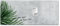 SIGEL GL298 Premium Glas-Magnettafel 130x55 cm, Design Botanic, hochglänzend, SGS geprüft, einfache Montage, incl. 2 starke Magnete, Artverum