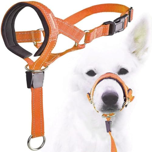 Zerodis Dog Head Halter with Safety Strap, Adjustable No Pull Head Collar for Dogs, Padded Nose Band, Reflective & Comfortable for Small Medium Large Breeds (Orange)