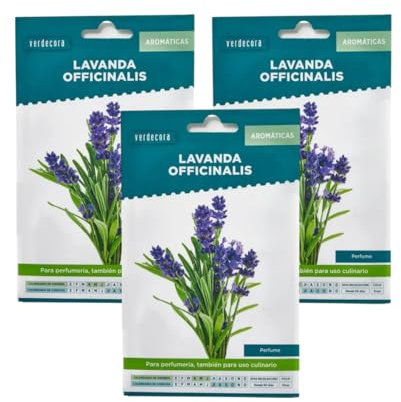 Verdecora Pack 3 sobres de Semillas de Lavanda | Lavandula Angustifolia | Planta Aromática | Ideal para Jardines, Macetas y Huertos Urbanos | Fácil de Cultivar