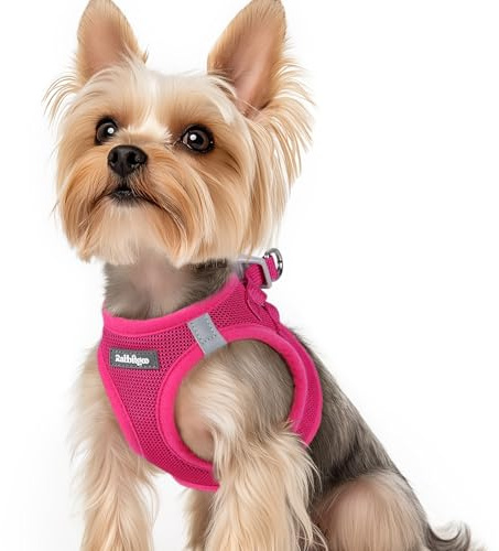 rabbitgoo Harnais Chien Petite Taille Rose Rouge XS, Harnais Chiot Respirante en Maille Souple, Arnet pour Chien Réfléchissant Facile à Mettre, Gilet Réglable pour Petits et Moyens Chiens pour Marche