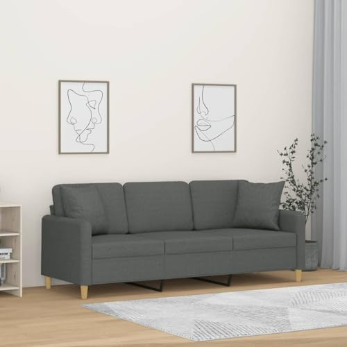 RJPLMFV Divano a 3 Posti con Cuscini Grigio Scuro Couch Divano per Salotto Adatto per camere da letto 180 cm in Tessuto