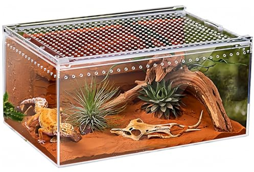 Reptiler terrariumlåda magnetisk akryl hemlighetslåda terrarium stapelbar reptil matningslåda för spindlar skorpionen skalbagge hornad groda