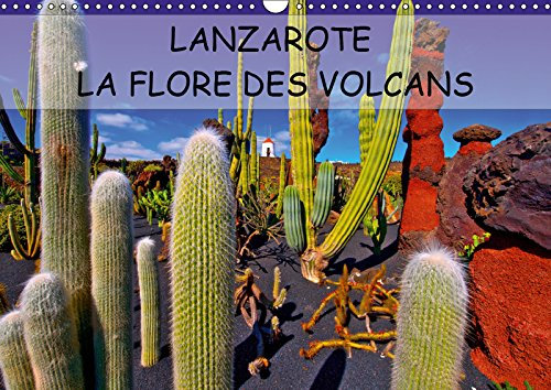 LANZAROTE LA FLORE DES VOLCANS (Calendrier mural 2019 DIN A3 horizontal): LANZAROTE DES CHAMPS DE LAVE NATURELLEMENT FERTILES (Calendrier mensuel, 14 Pages )