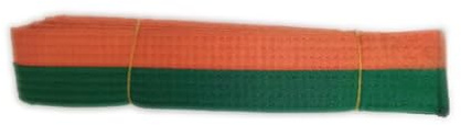 Pandiui23 Professional Taekwondo Karate Judo Double Wrap Martial Arts Stripe Sports Belt (1, Orange Green, 2.2M)
