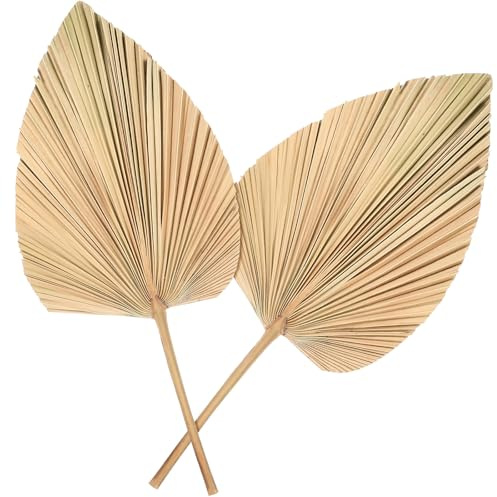 Uonlytech 2 Hojas de Palma Secas en Forma de Corazón para Decoración Natural de Bodas y Tiendas, Abanicos de Palma Creativos y Encantadores, Paquete de 2 Piezas