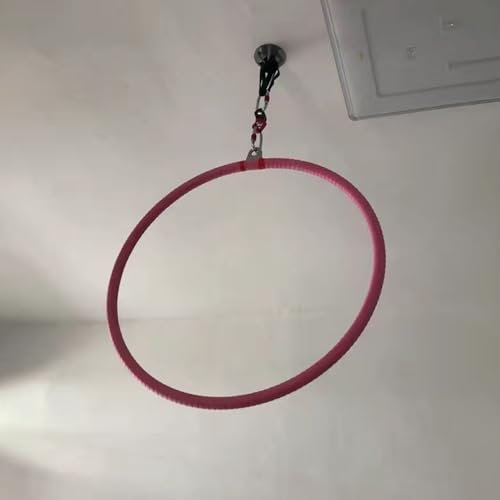 cerchio aereo Aereo Kit cerchio yoga con nastro antiscivolo e ancoraggio al soffitto, Cerchio di yoga appeso per casa/studio di danza/palestra, Cerchio grande in acciaio inox per donne/uomini(25mm,Dia