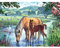 Jigsaw Puzzle| Horse In The River Jigsaw | 1000 Pieces of Puzzle