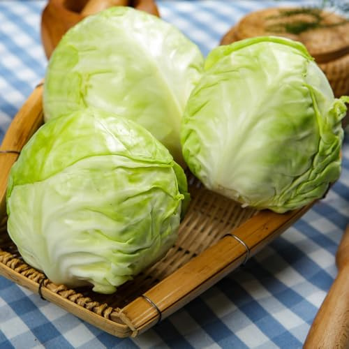 cavolo cinese, semi di pak choi, aromatiche da giardino invernali resistenti esotico semi di verdi raro vecchie varietà vecchie 200pcs
