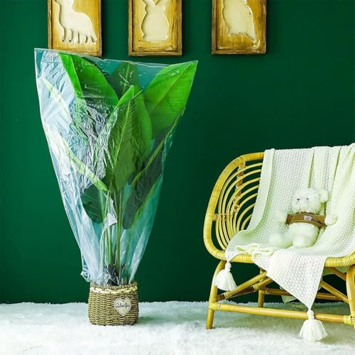 Lot de 5 housses de protection en plastique transparent pour plantes d'hiver, protection contre le gel, serre de jardin, terrasse, 80 x 180 cm