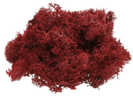 QUARKZMAN Muschio di Renna Conservato, 4 OZ Muschio Finto Artigianato Muschio Secco Artificiale Decorazione Artigianato Terrari Piante Vaso Centrotavola Giardini Fate (Rosso Scuro)