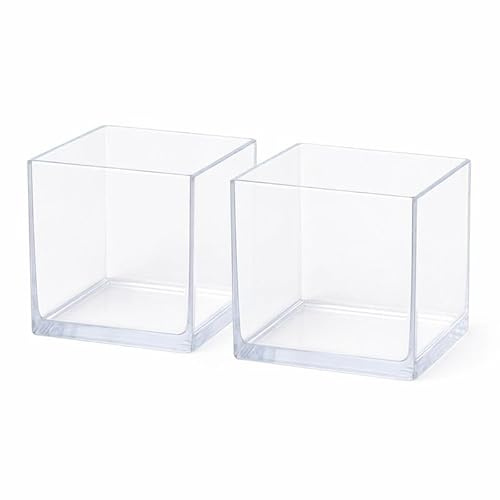 Floralcraft 10cm Acrylic Cube Vase, Clear, Lightweight, Shatterproof, Reusable, Modern Floral Display Container (2)