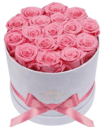 Prifroti 17 Flowers in a Luxury Suede Box, Birthday Gifts for Women, Preserved Flowers, Mothers Day Roses Gift for Mom, Light Pink