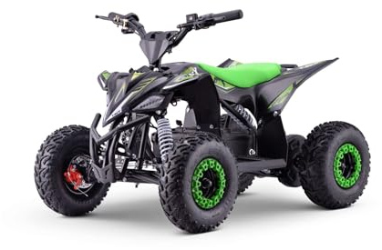 Beneo Motors ATV électrique Quad pour Enfants T-Rex Verte - 1300W, Batterie 48V (4 x 12V 12Ah), à partir de 6 Ans