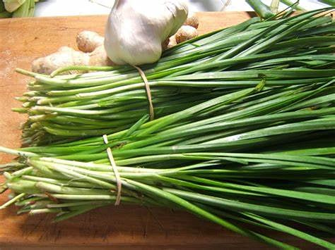 Garlic Chives (100+ Seed Pack) - COOL BEANS N SPROUTS Brand - Non-GMO - Home Gardening