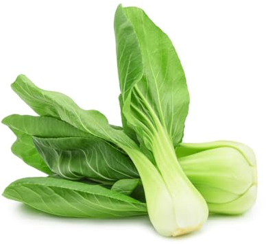 Lot de 1000 graines de chou moutarde chinoise Brassica rapa pour balcon et jardin