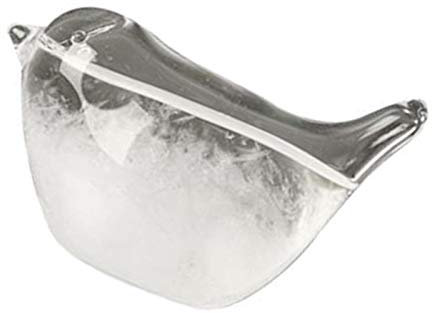 Niktule Storm Glass Bird Wetterstation, Sturm-Vorhersage aus Glas, Wetterstation, Wettervorhersage aus Glas in Form einer Desktop-Dekoration