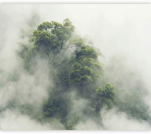 murando - Vlies Fototapete Wald im Nebel 300x210cm Foto Tapete Schlafzimmer Wohnzimmer Vliestapete XXL Motivtapeten Bildtapete 3d Effekt Wand Dekoration - Natur Baum Wolke Landschaft b-B-0486-a-a