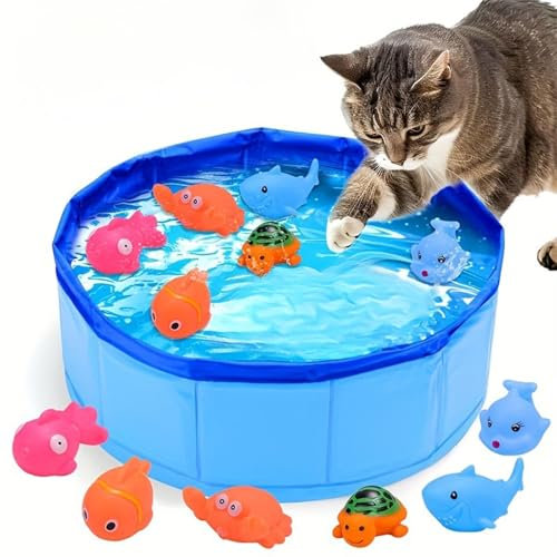 Glenmi Piscina for Cani con 6 Giocattoli, Piscina for Cani Pieghevole | Vasca da Bagno salvaspazio Non Gonfiabile for Cuccioli, Gatti e Altri Animali.(8 * 50cm)