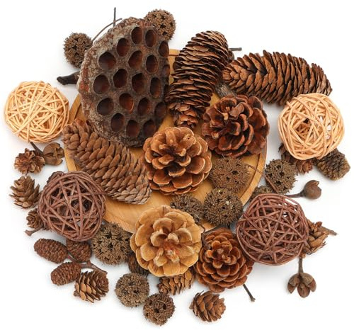 DomeStar 38 PCS Pine Cone Set for Bowl Centerpiece, Natural Bowl Fillers