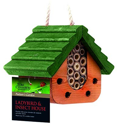 Tom Chambers Ladybird and Insect House